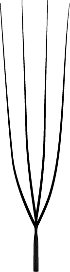Fibras Curve 4D