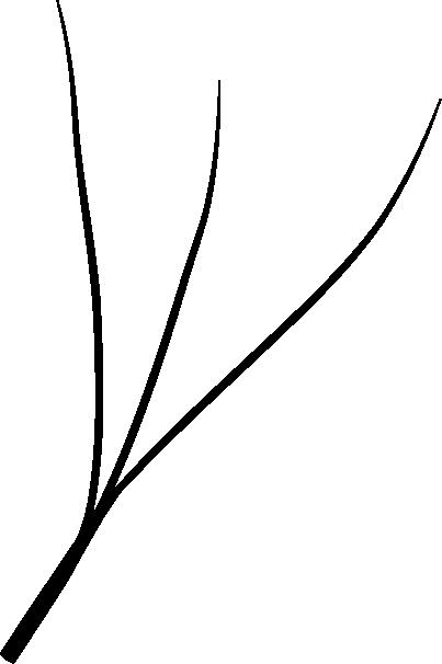 Fibras Tech 3D
