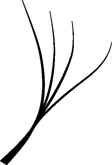 Fibras Tech 4D