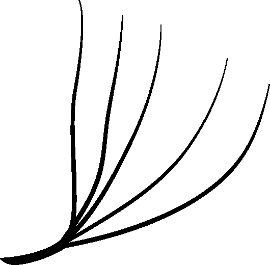 Fibras Tech 5D