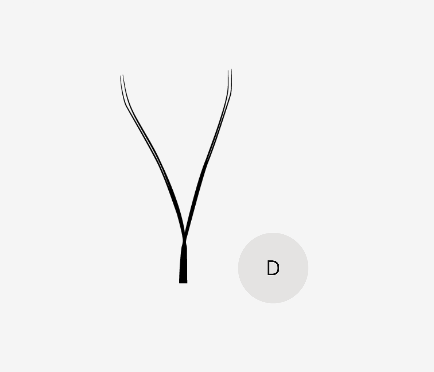 Fibra YY curva D